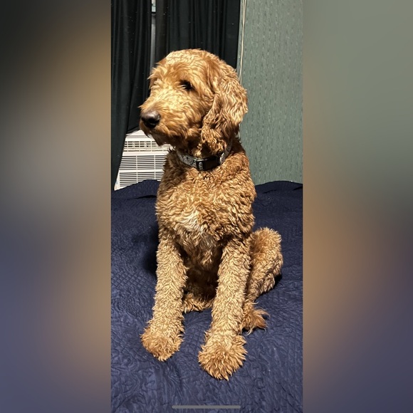 Listing #22 - Picture 1 of 1